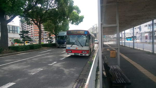 和歌山バス260号車