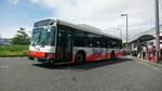 南海バス1659号車