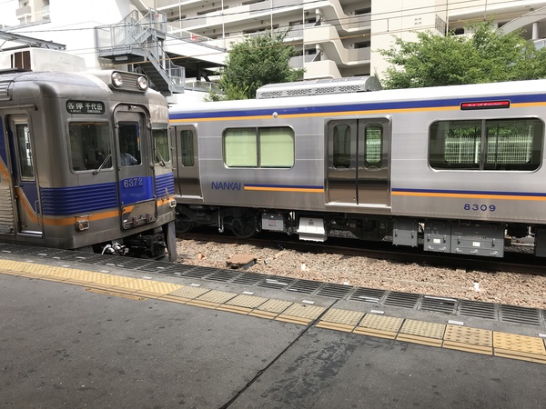 南海電鉄8300系8309F/2018年7月13日高野線午後試運転③