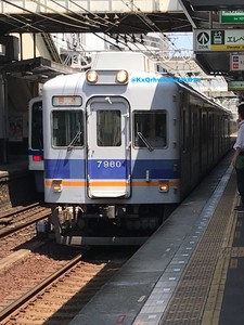 南海電鉄7100系7159F/2018年8月2日千代田入場回送②