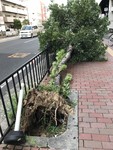 堺東駅前②/2018年9月5日